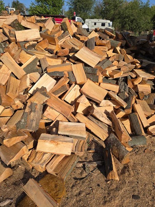 stejar, fag sau carpen . lemne de foc taiate si despicate