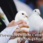 Porumbeii albi și aranjamente  florale