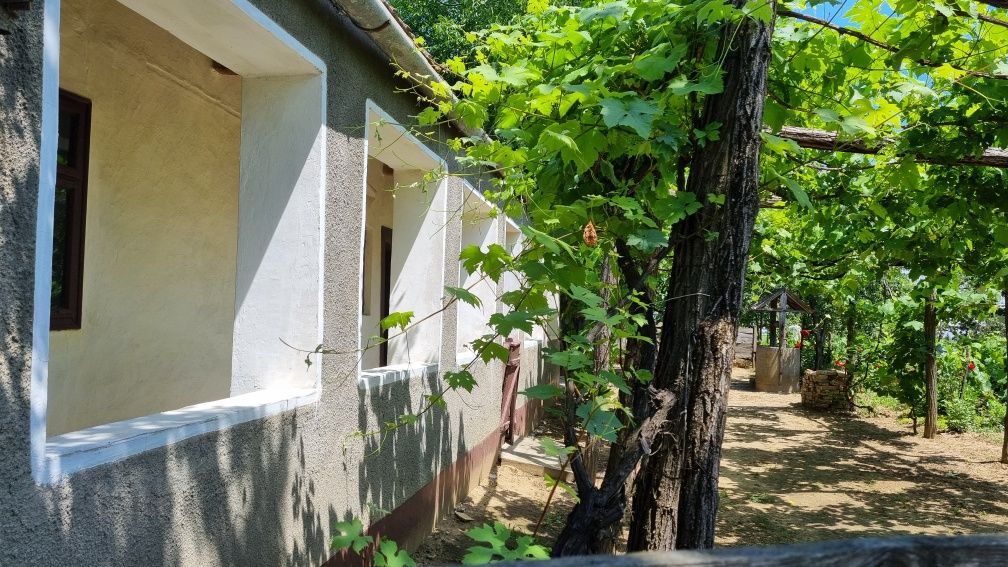 Vând casă în Voivozi, comuna Șimian