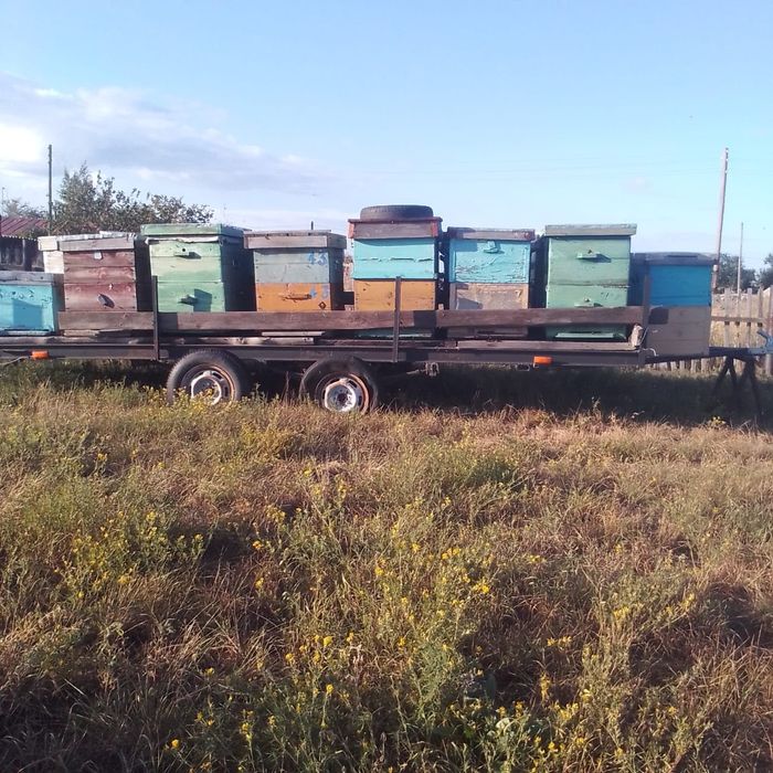 В продаже улики.