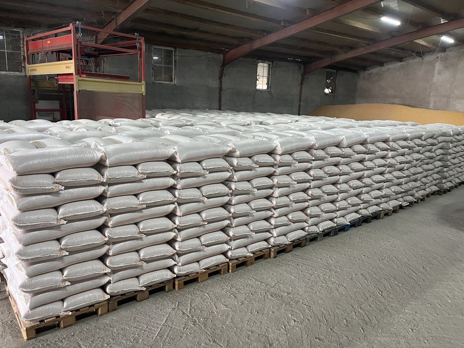 Porumb grau sacuit egalizat paletizat