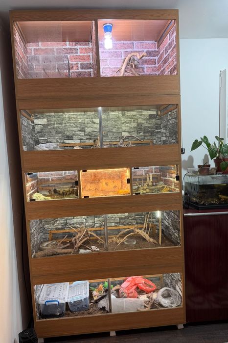 Terariu Profesional XXL cu Control Temperatură