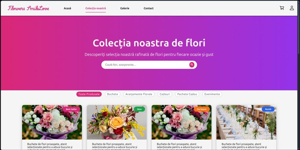 Creare site web profesional si aplicatii