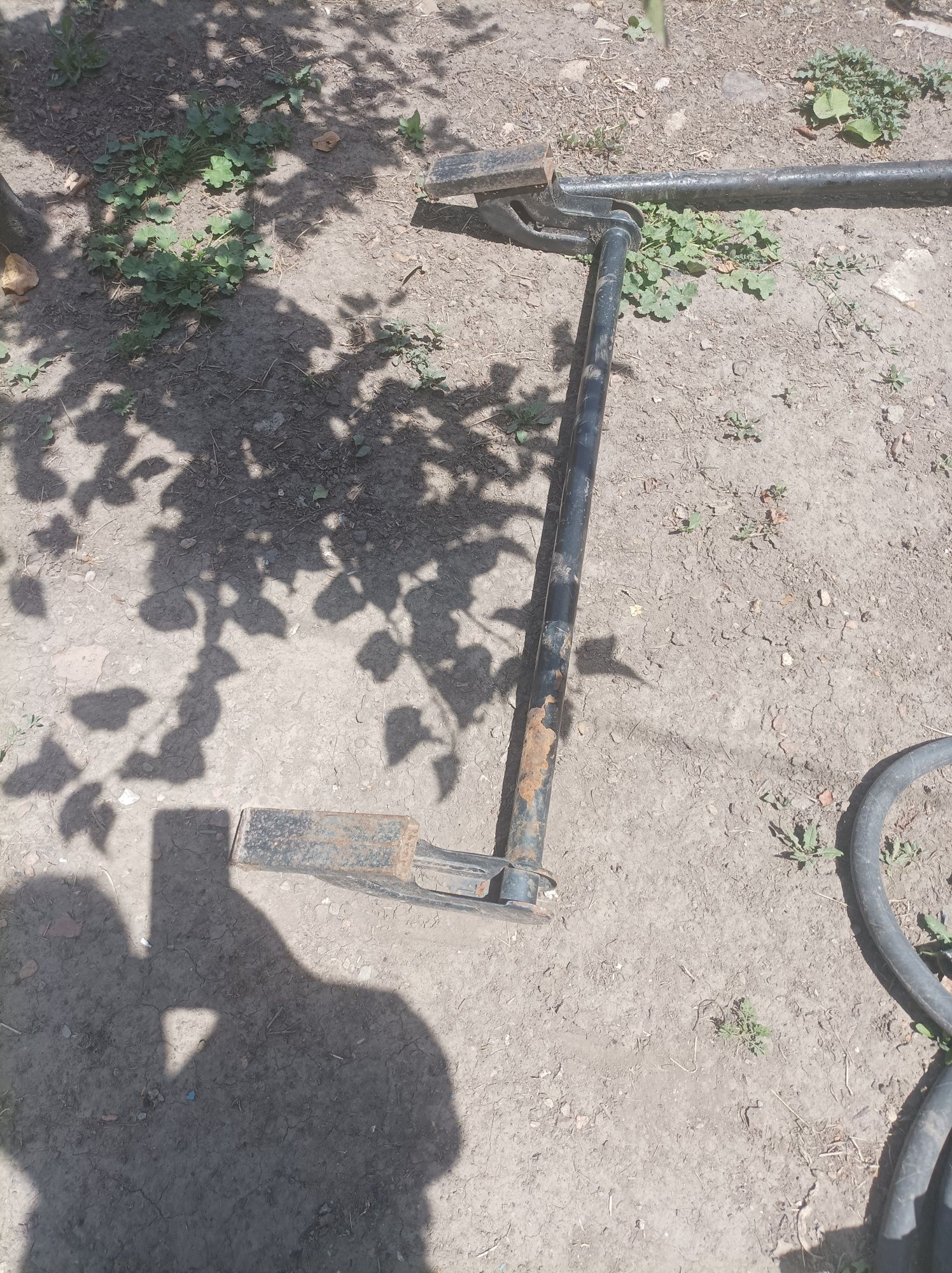 Лабо орка дугаси
