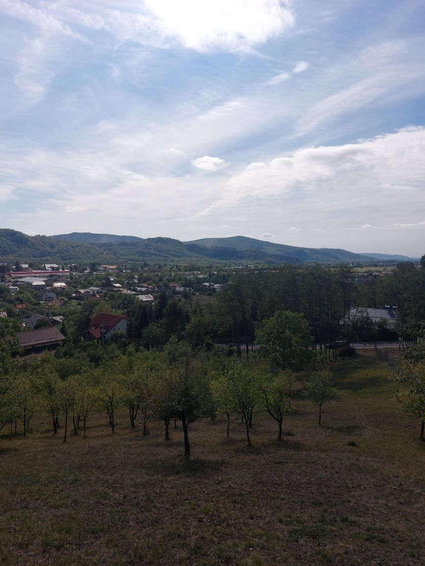 Vălenii de Munte, strada Poet Grigore Alexandrescu - teren bun pt casă