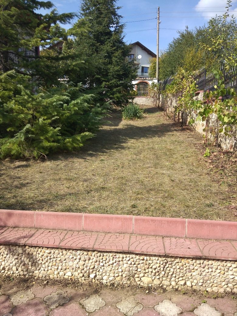Косене на Трева Почистване на дворове от Бурени Рязане на Дърва за Огр