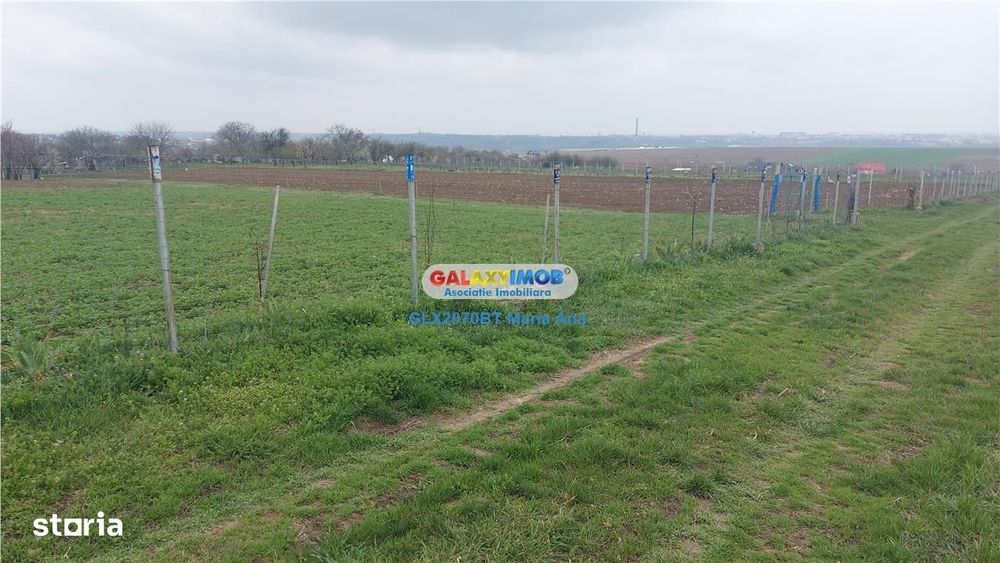 Teren 3600 mp., Manastirea Doamnei!