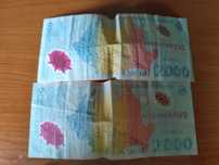 2 bancnote eclipsa 2000 si 6 monede eclipsa
