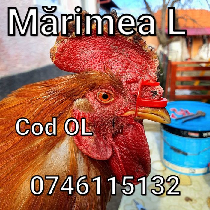 Fazani Gaini Pauni Cocosi Pasari-Ochelari Fara strapungere nazala- OL