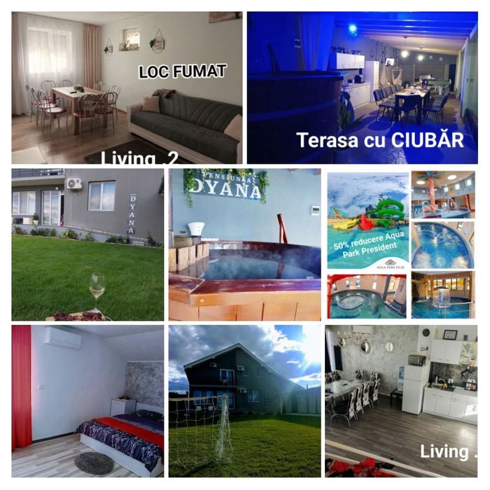 Cazare Felix 1000 lei toata cabana +Ciubar