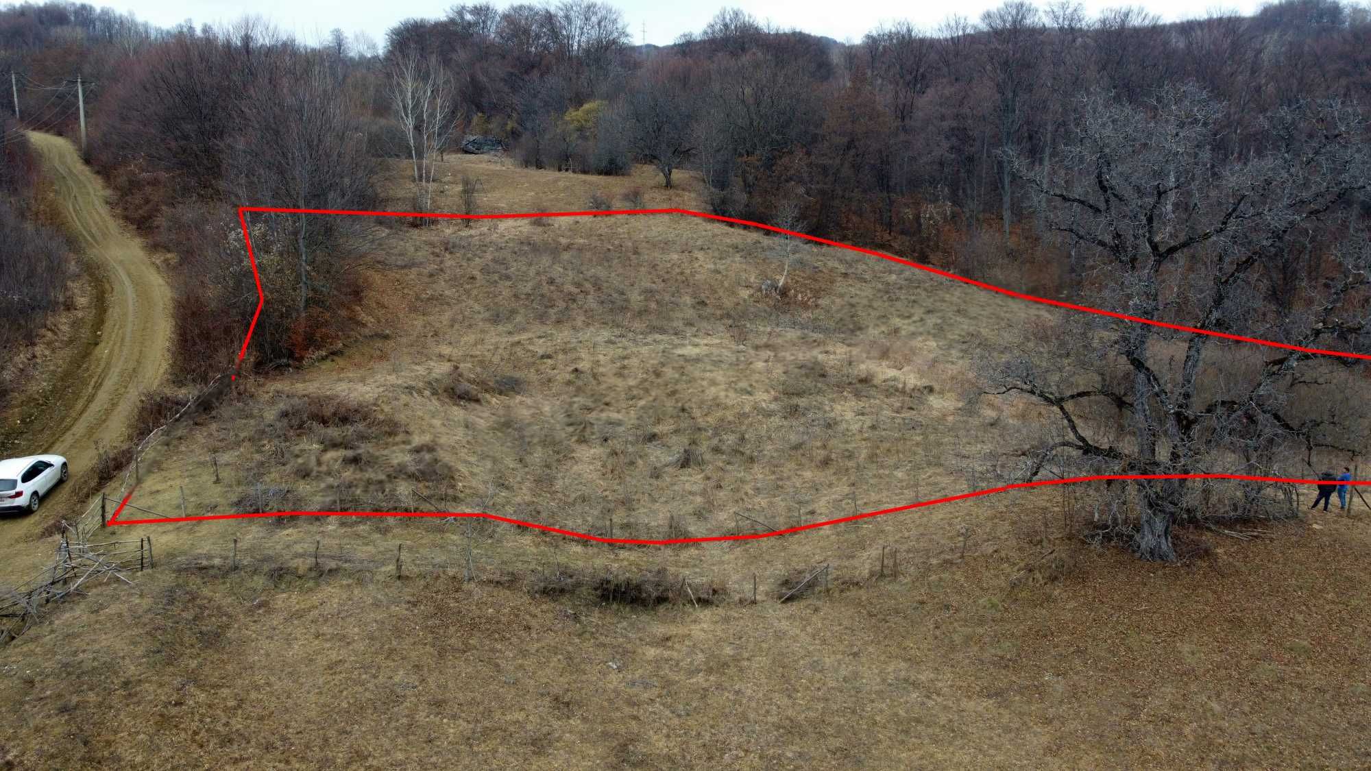 Teren de vânzare în comuna Brăduleț, sat Bradetu ( 7093 mp ) Jud Arges