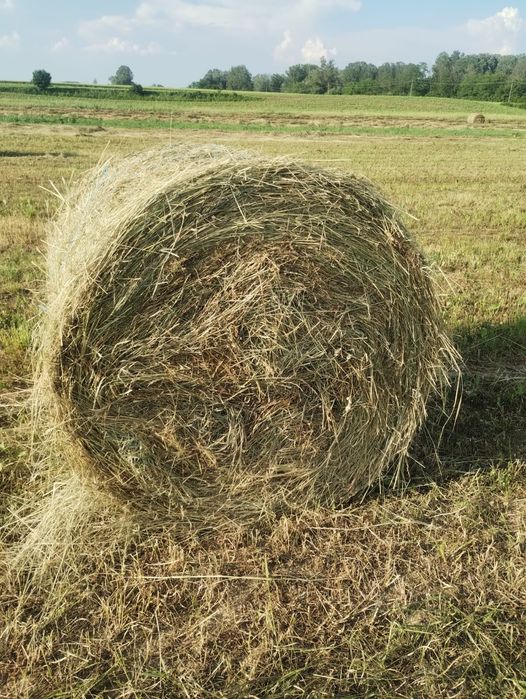 Baloti prima coasă 120/120