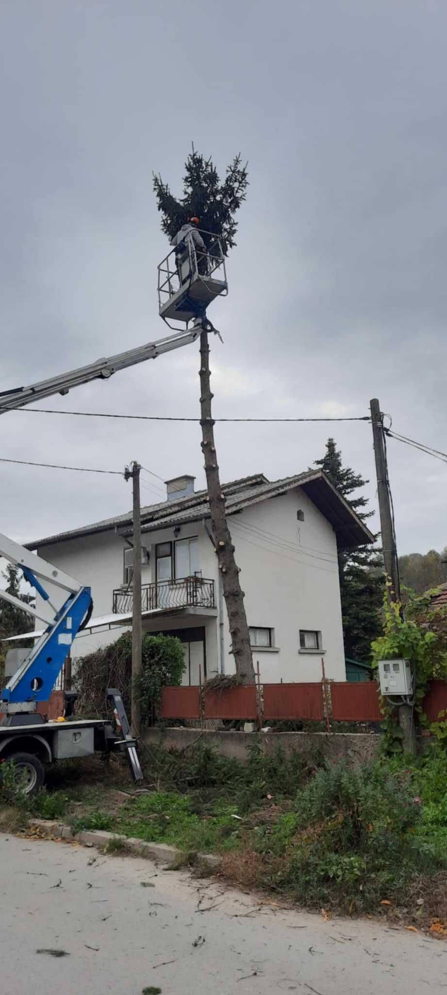 Рязане, кастрене и почистване гр. Русе