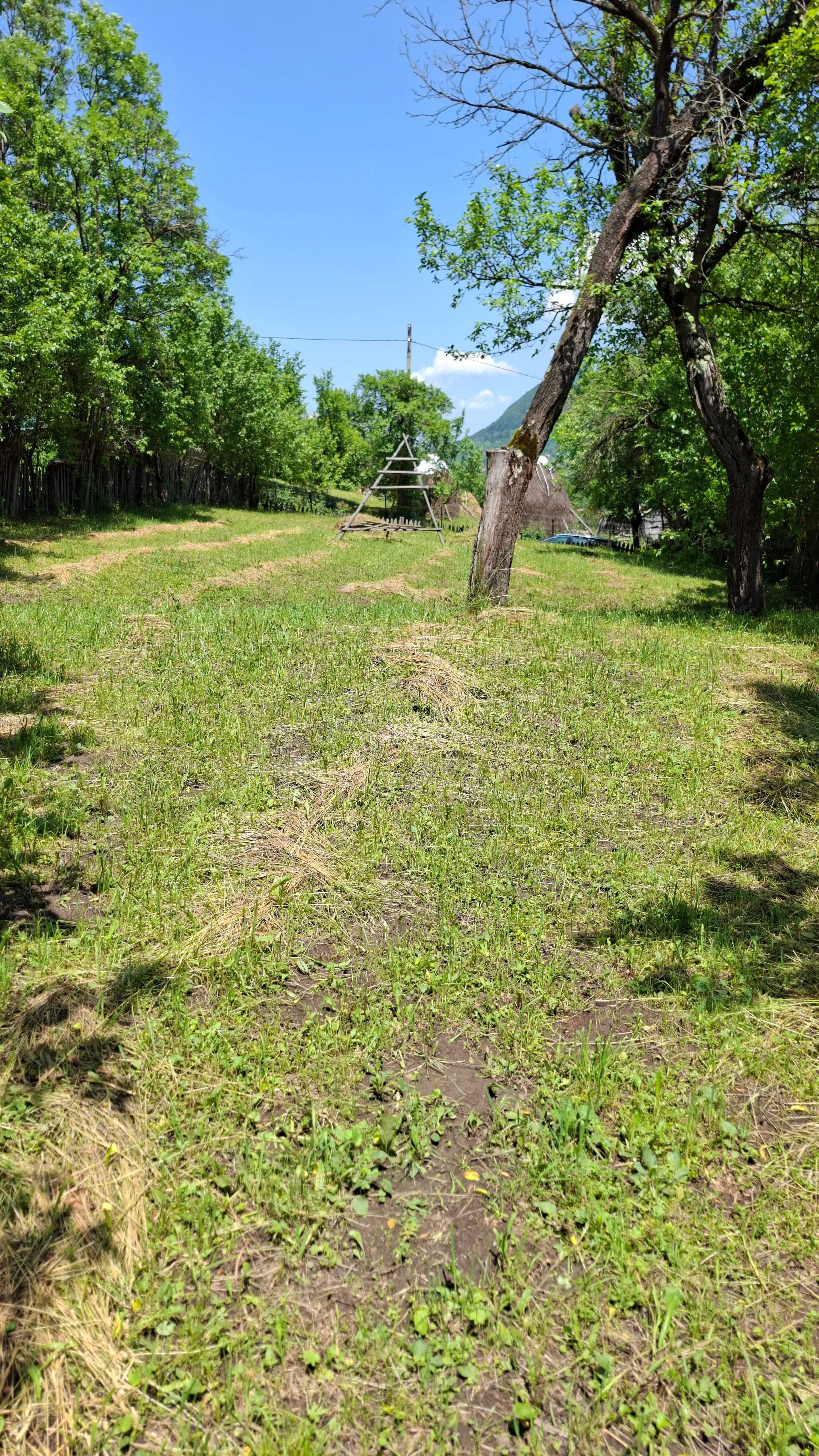 Teren intravilan 2244 m2, in Comuna Valea Doftanei, Sat Tesila