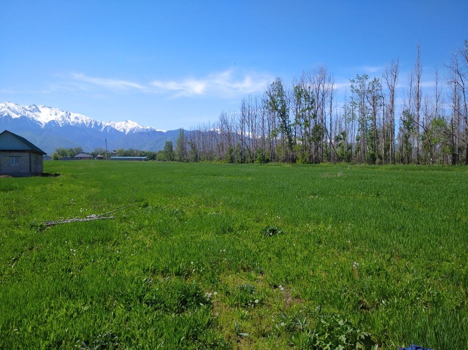 Срочно продам участок.