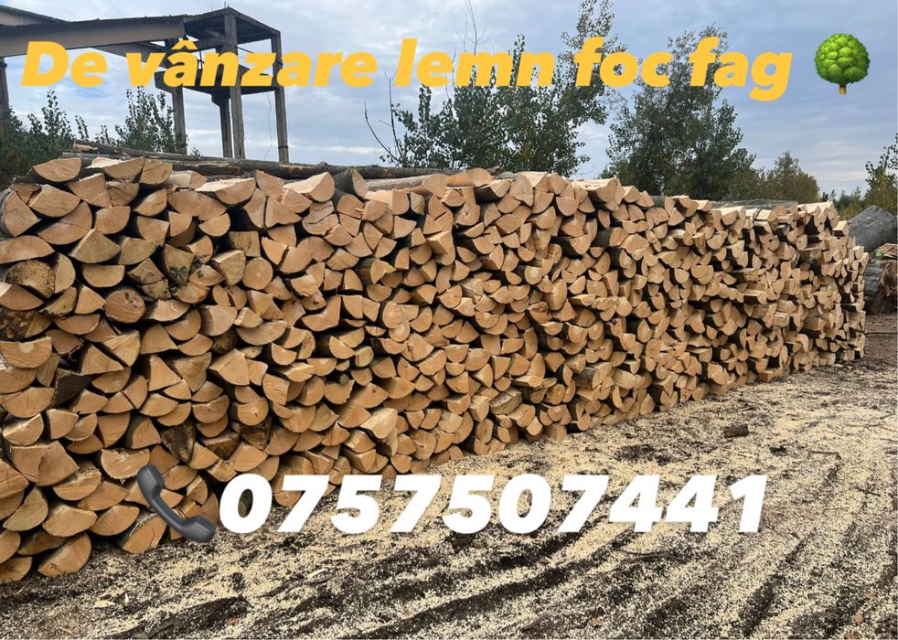 De vanzare lemn foc fag !