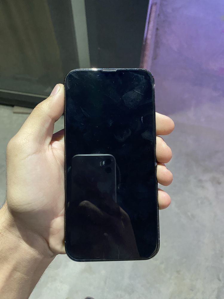 iPhone 13 pro max