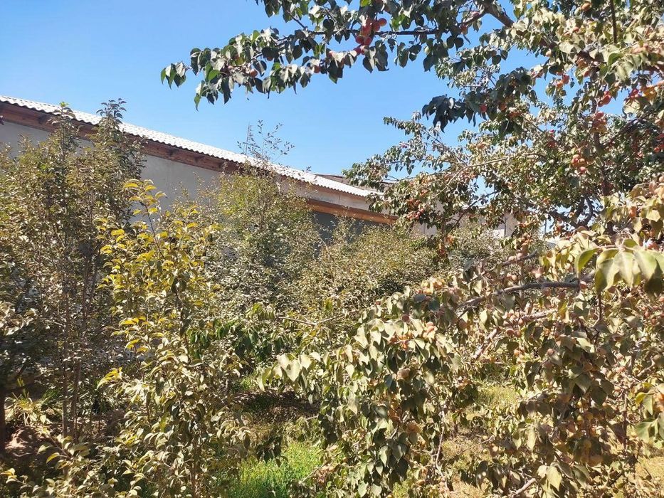 Богот 105да 600 кв.м ховли-жой хамма жихозлари билан сотилади