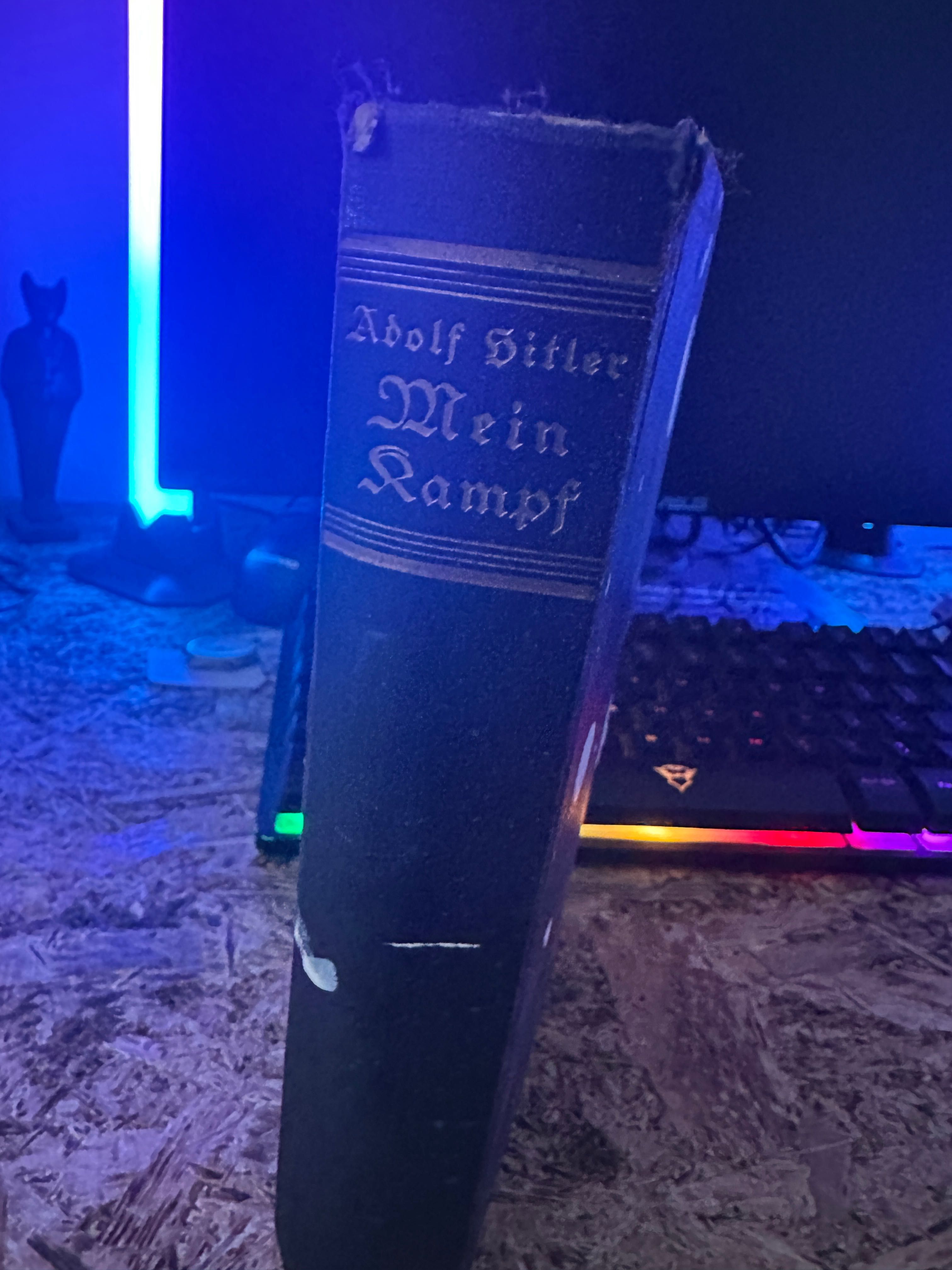 Carte Mein Kampf 1933 cartea este originală