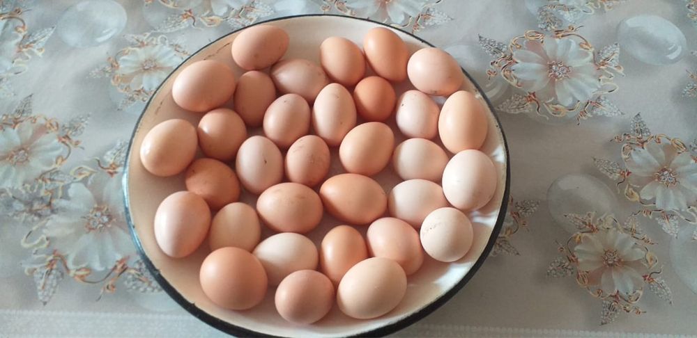 Продам домашние яйца