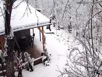 Vând casa de vacanta la pădure în Prahova