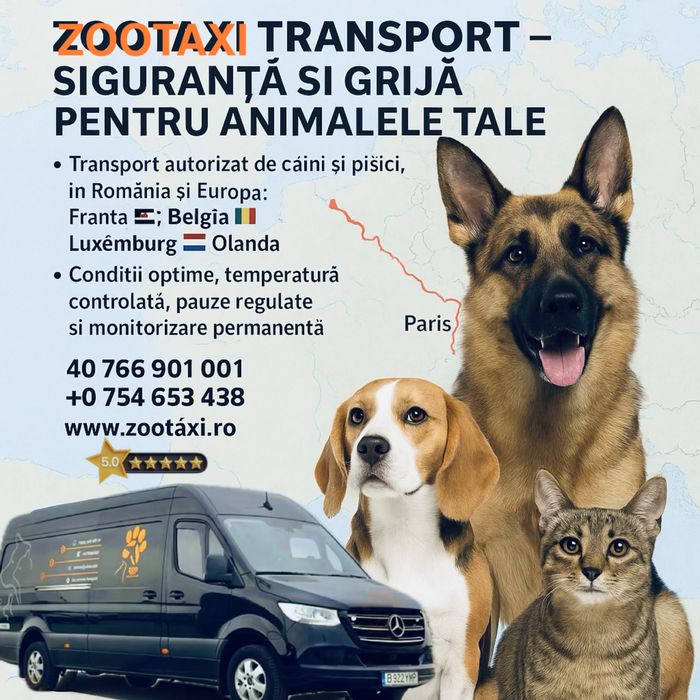 Transport caini si pisici
