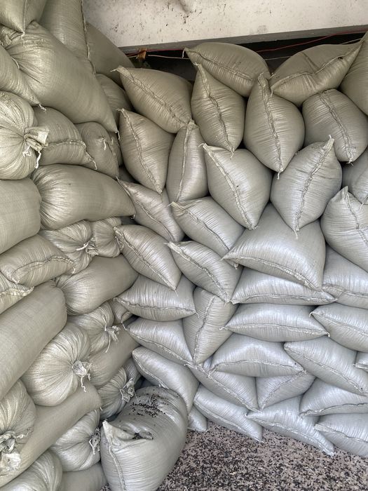 Семечки подсолнечника