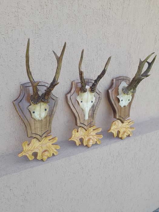 Vând panoplii sculptate manual