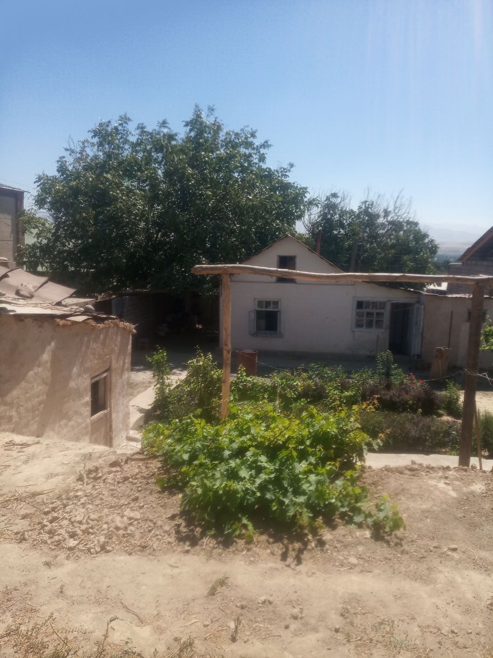 Uchaska sotiladi
