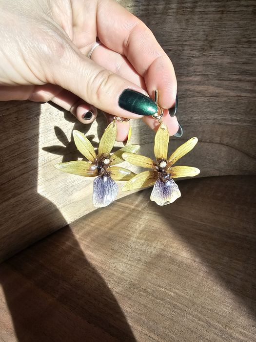 Обеци с естествен цвят на орхидея Камбрия.

Естествен цвят на орхидея