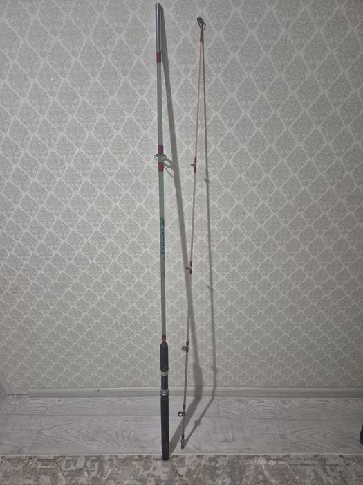 Рыболовное удилище