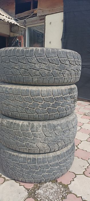 265.65r17 sailun