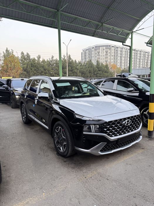 Hunday santafe toza 2021 22