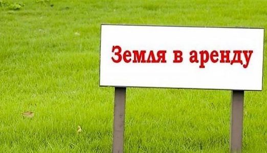 Аренда открытой площадки(земли)