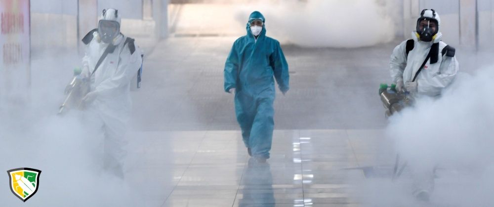 PestControl Bucuresti - Servicii DDD Bucuresti- Dezinsectie Deratizare