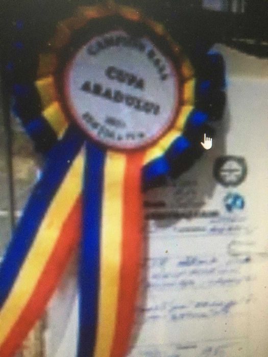 Vand gaini la bresse , puicute si cocosi au 4 luni.