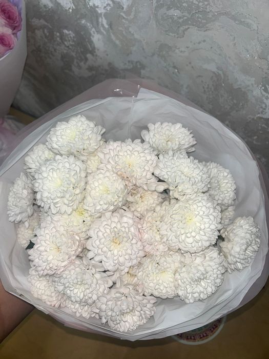 Продам цветы от "Kupidon flowers"