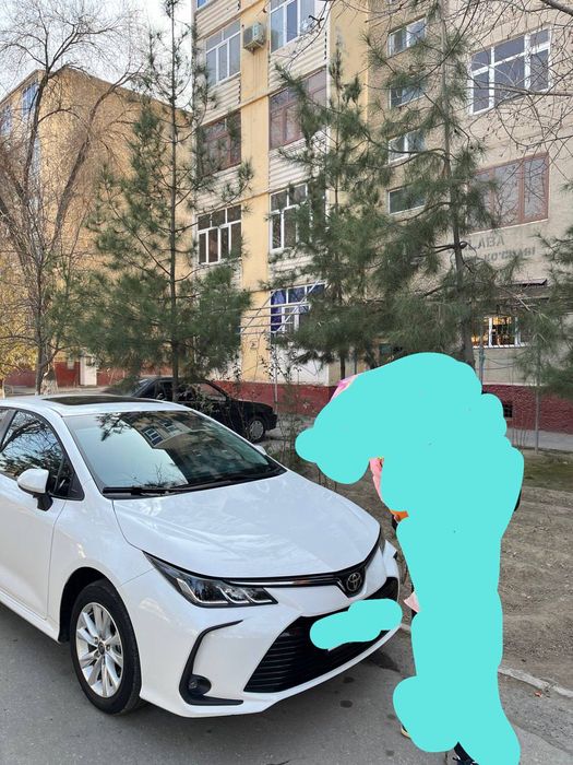 Tayota Carolla yangi