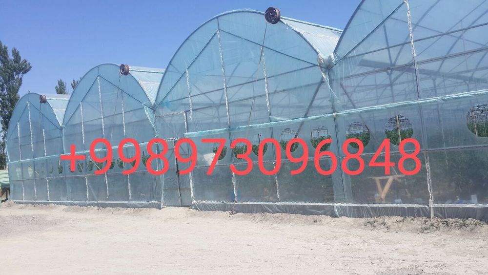 Кантинер матирялидан том