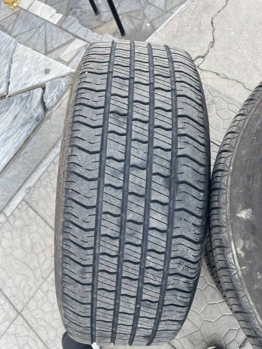 R17 Malibu Premer Arginal Gm