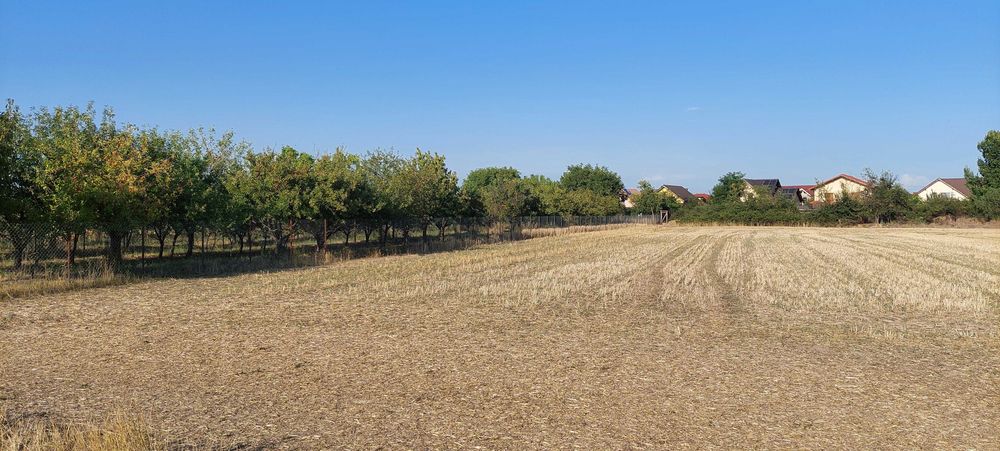 Teren intravilan in Sag jud.Timis