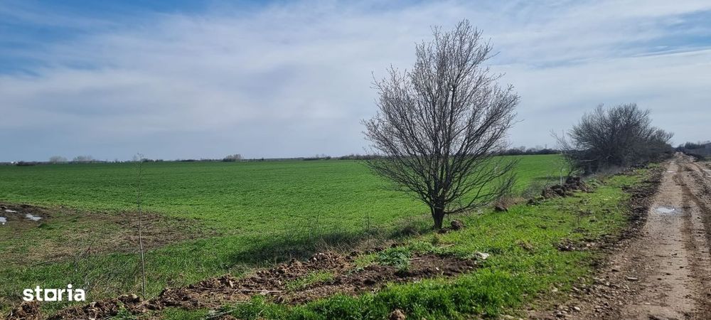 Ilfov | teren, Gara Balotesti | Aeroport OTP