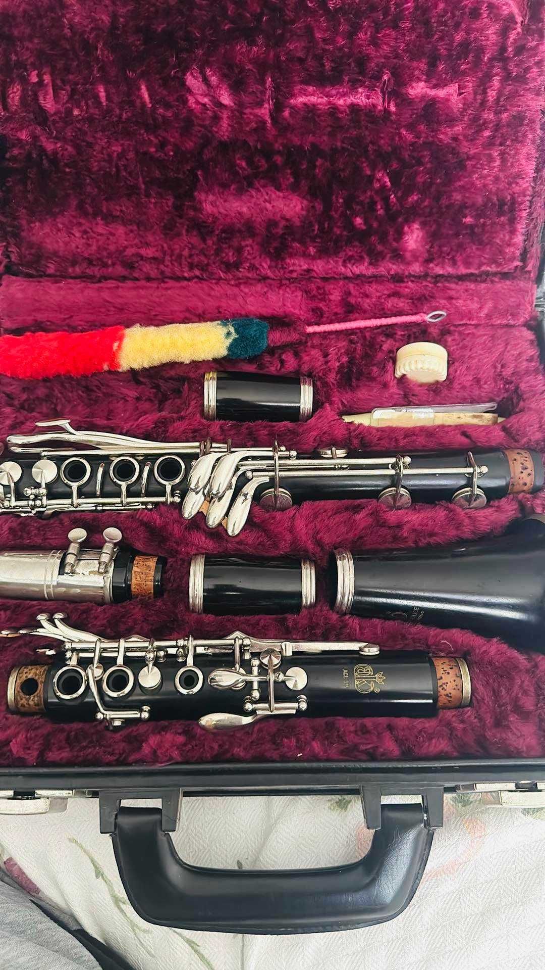 Amati. ACL 315 пълен биом