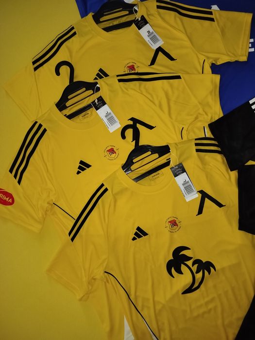 "Официални мачови фланелки", на Левски София, от сезон 24/25г. 110г.