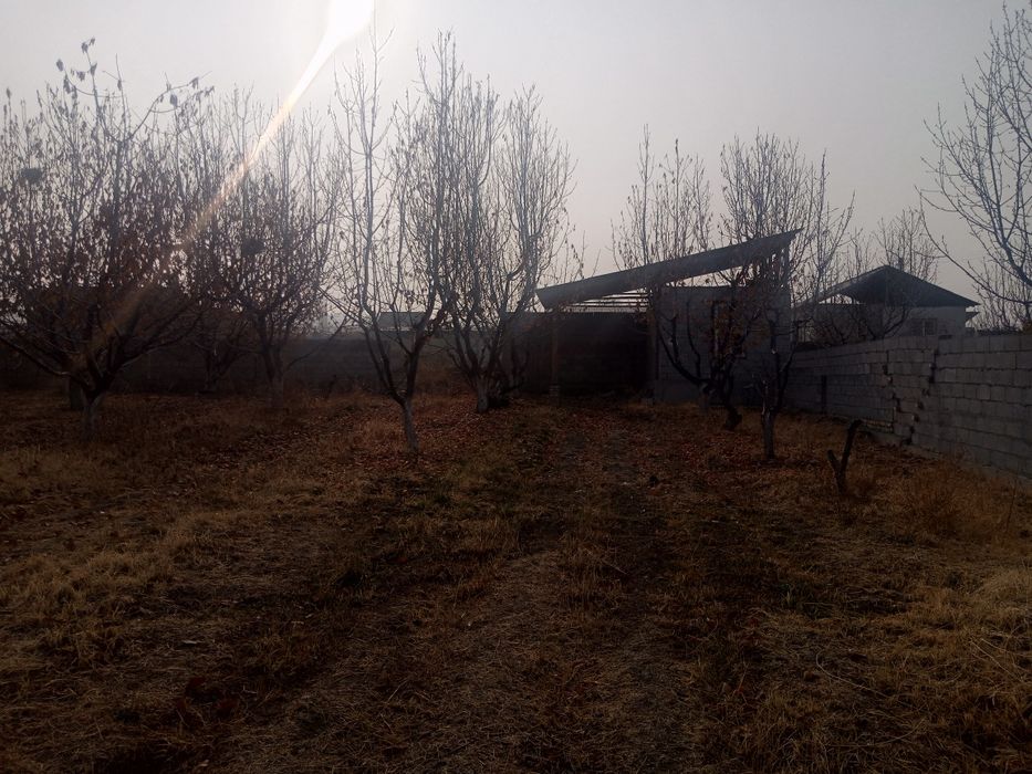 Ховли чек сотилали срочно