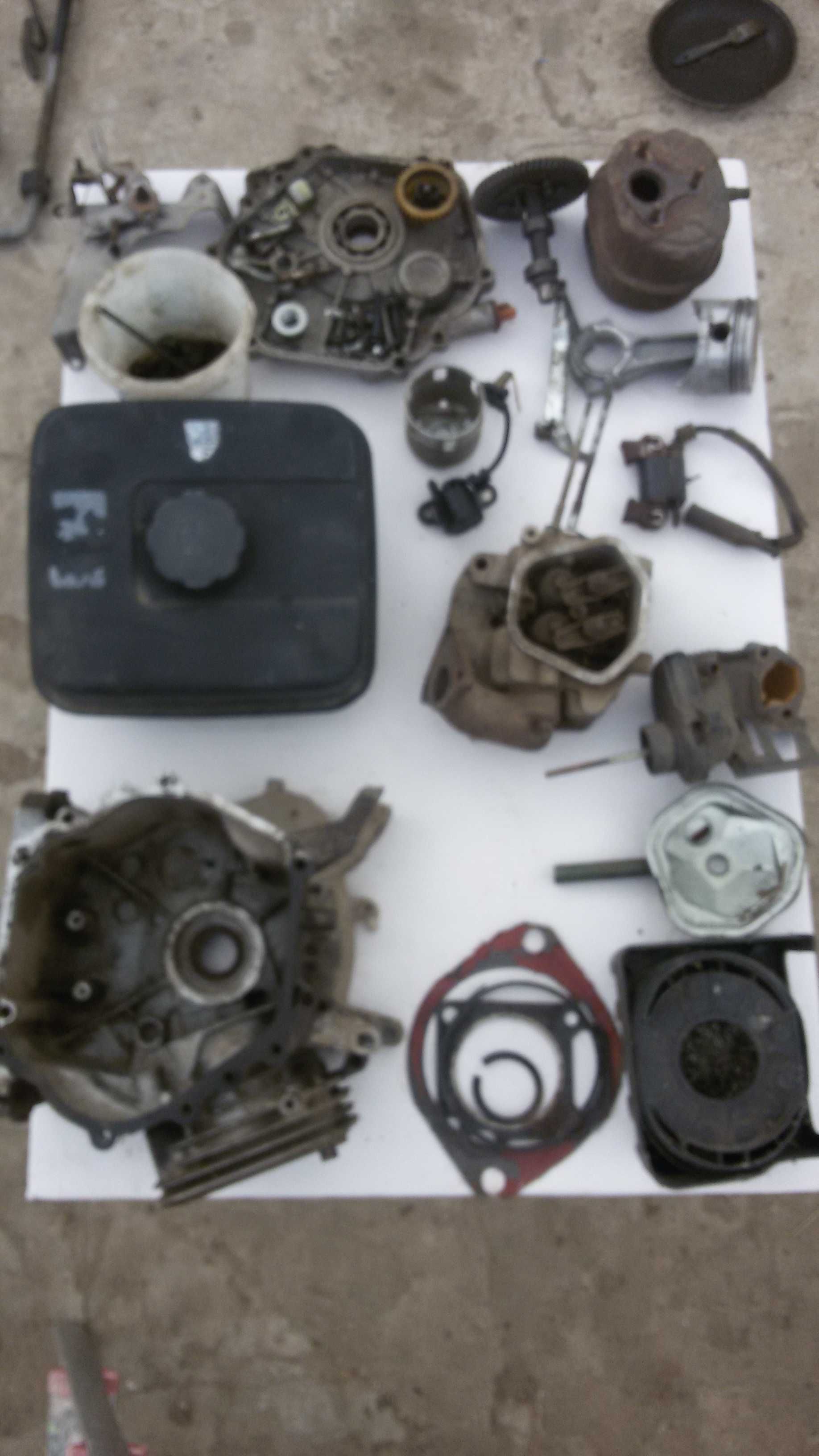 Piese motoare briggs stratton,tecumseh etc.