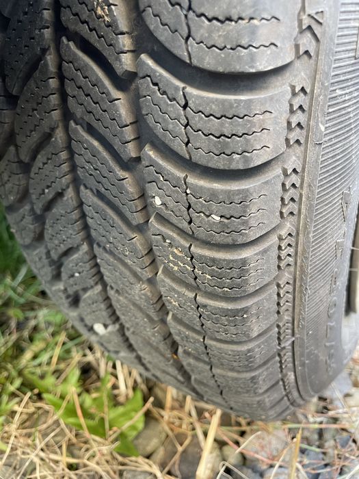 Debica Frigo (iarna M+S) 2 bucati