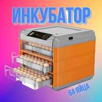 Инкубатор полностью Автоматический