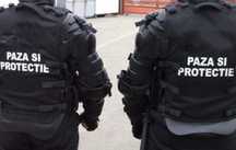 Serviciul Protectie si Paza Transport Valori, Garda de corp, VIP Sofer