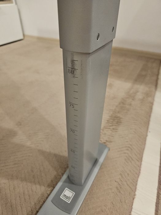 Birou Moll Winner Compact pentru orice varsta